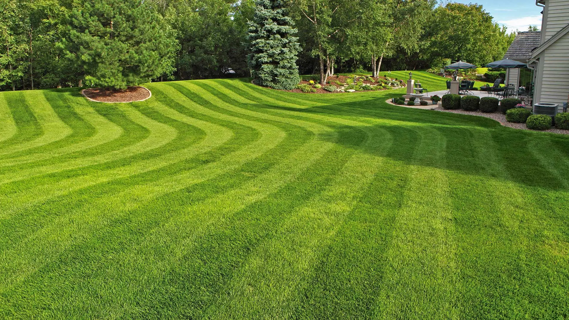 Stripes mowed in backyard of Martinez, GA home.