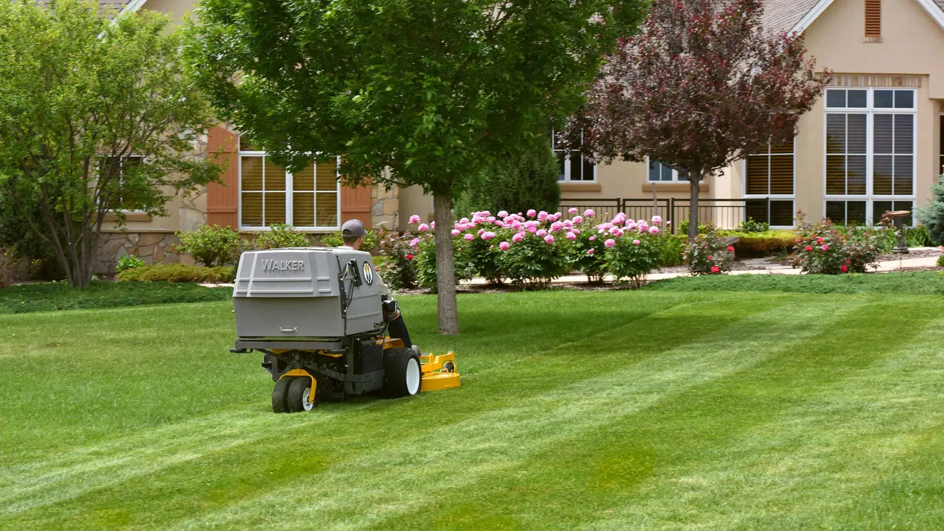 Well maintained lawn and landscaping at residential property in Martinez, GA.